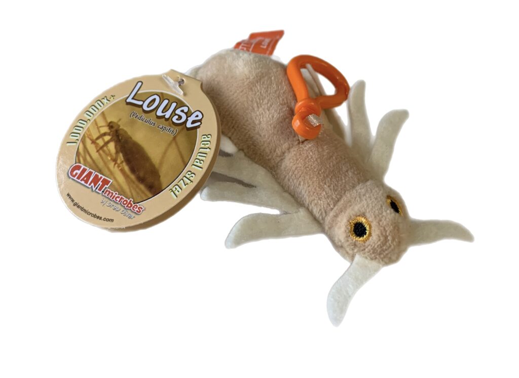 HEAD LOUSE KEYCHAIN Lice Clinic Wisconsin